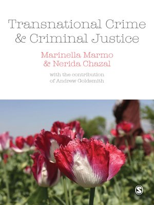 cover image of Transnational Crime and Criminal Justice